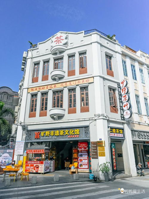 在廈門 發現能待一整天的神仙茶館,4層老騎樓藏進了鷺島舊時光